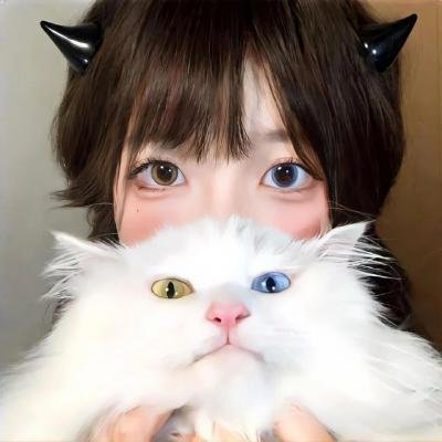 实尾岛